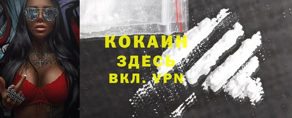 молекула духа Белоозёрский