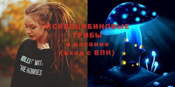 гидропоника Богородицк