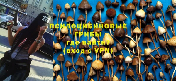 гидропоника Богородицк