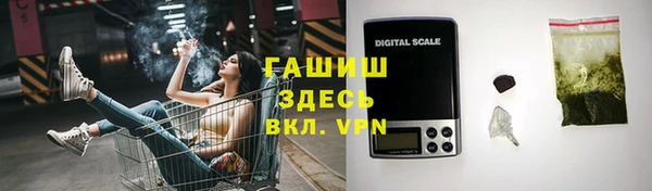 сатива Грязовец