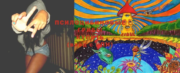 гидропоника Богородицк