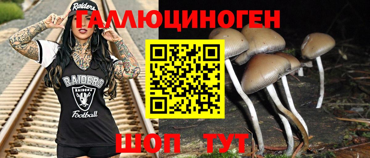 Галлюциногенные грибы Psilocybe  Вход с VPN  Вязьма 