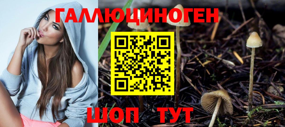 Галлюциногенные грибы Psilocybe Вязьма