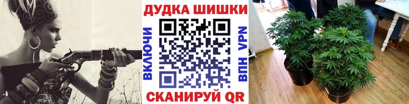 блэк спрут ссылка даркнет сайт Вязьма Марихуана индика